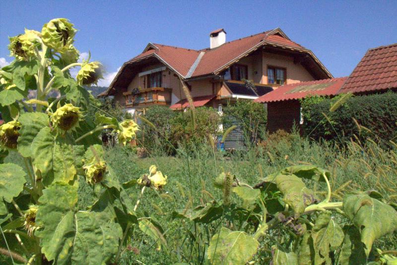 Apartmán Galerie 7 Riegersdorf